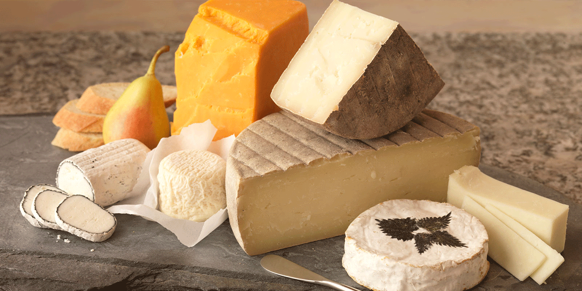 انواع پنیر های مختلف