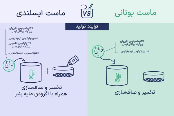 مقایسه دو ماست ایسلندی و یونانی در فرایند تولید