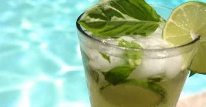 طرز تهیه موهیتو