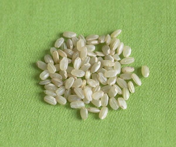 برنج قهوه ای دانه کوتاه