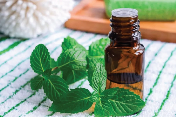 نعنا برای معده درد