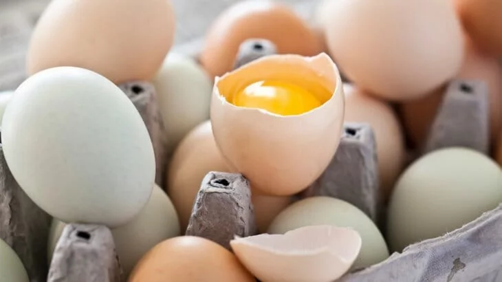 غذای سرشار از ویتامین D