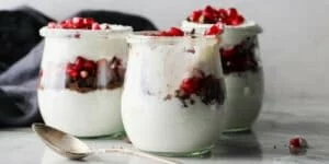طرز تهیه دسر ماست