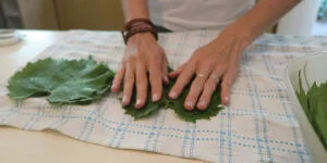 طرز تهیه شور برگ مو