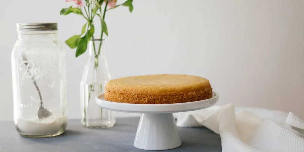 کیک اسفنجی وگان