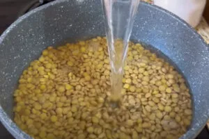 پختن عدس برای تهیه کتلت