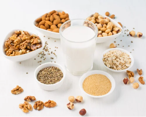 معرفی برخی انواع شیر گیاهی