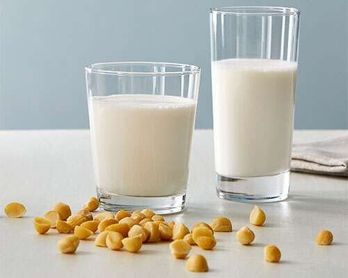 انواع شیر گیاهی: شیر فندق استرالیایی