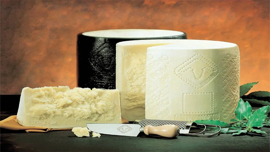 پنیر رومانو