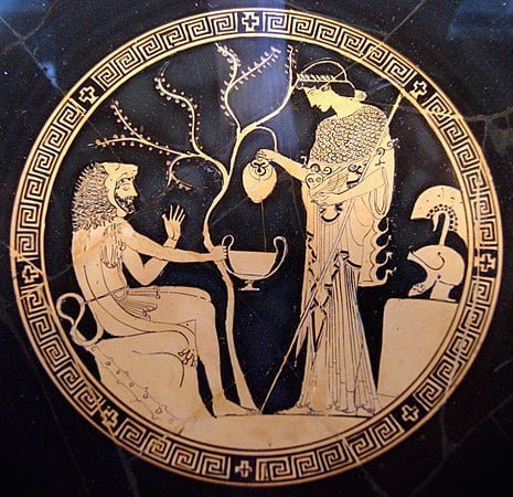 هدیه روغن زیتون توسط آتنا الهه یونانی 