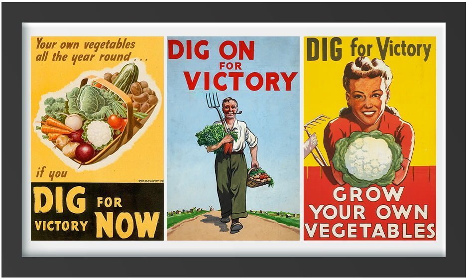 کاشت بذر آزادی و غذا در جنگ جهانی