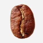 قهوه عربیکا