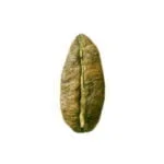 قهوه لیبریکا