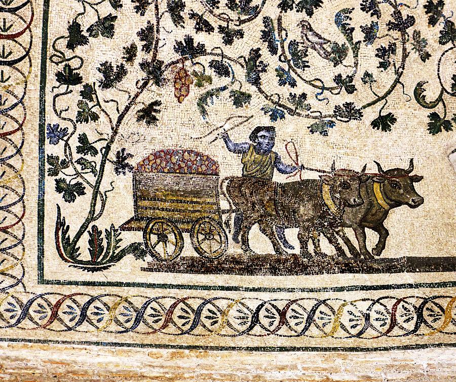 کشاورزی در دنیای باستان 