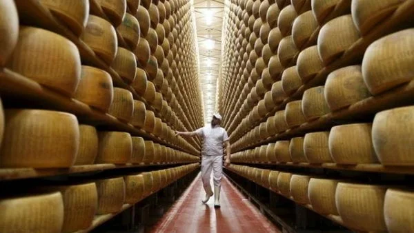 تاریخچه پنیر پارمسان