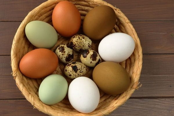 کالری انواع مختلف تخم مرغ