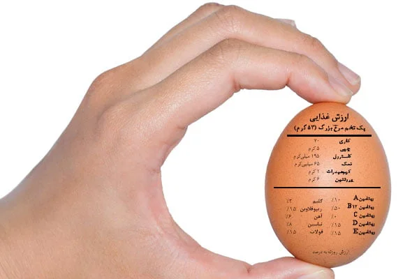 ارزش غذایی تخم مرغ 