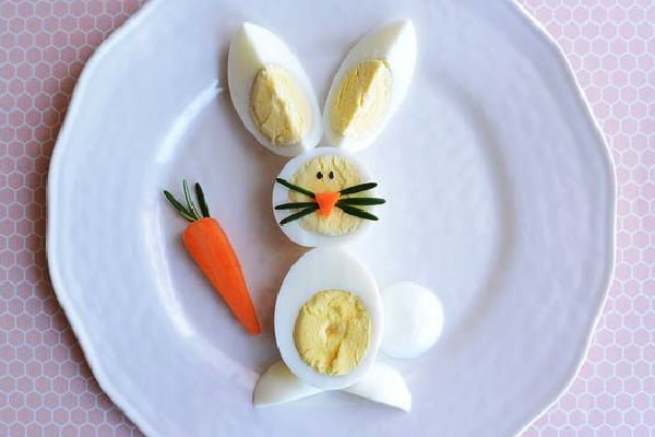 خرگوش با تخم مرغ آب پز