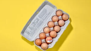 تشخیص تخم مرغ سالم