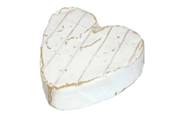 انواع پنیر