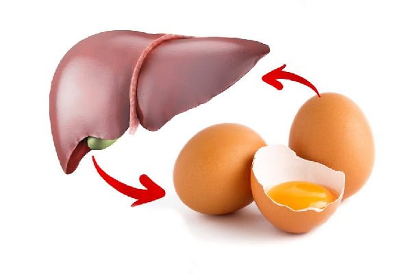 خواص تخم مرغ برای سلامت کبد