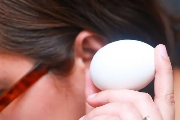 روش تشخیص تخم مرغ سالم تکان دادن تخم مرغ