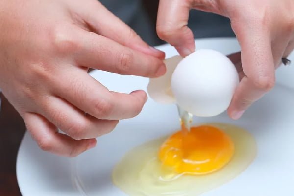 بررسی کیفیت سفیده و زرده تخم مرغ
