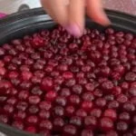 ریختن آلبالو در سینی برای طرز تهیه آلبالو خشکه