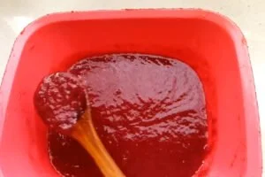 مایه لواشک آلبالو و زردآلو