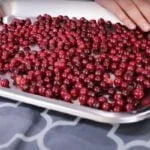 خشک کردن آلبالوها روی سینه