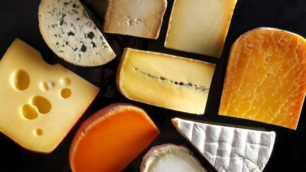 انواع پنیرها