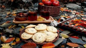 طرز تهیه شیرینی کشمشی