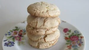 طرز تهیه شیرینی نارگیلی بدون فر