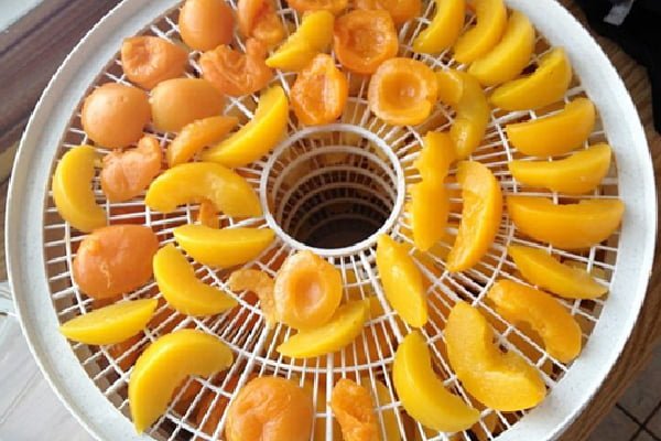 روش خشک کردن زرد آلو با دستگاه میوه خشک کن