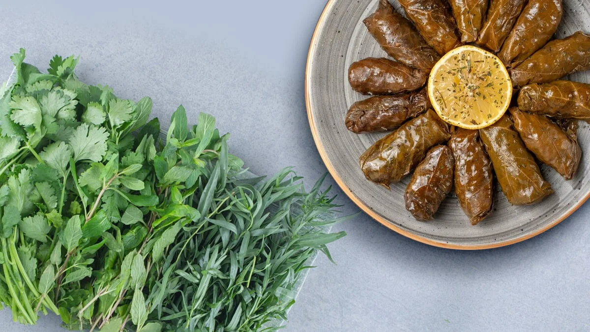 سبزی دلمه برگ مو