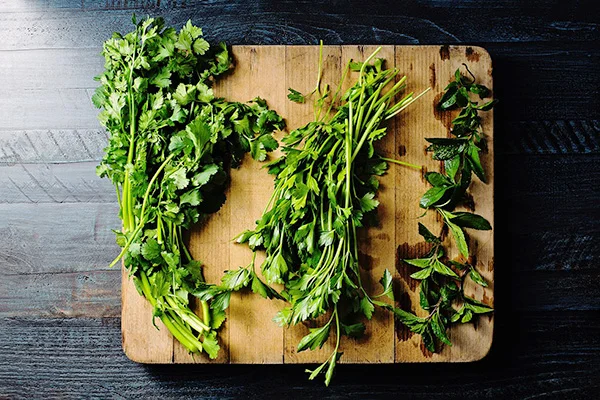 سبزی دلمه برگ مو چیست