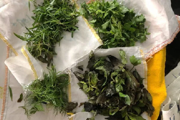 طرز تهیه سبزی دلمه برگ مو تازه و خشک