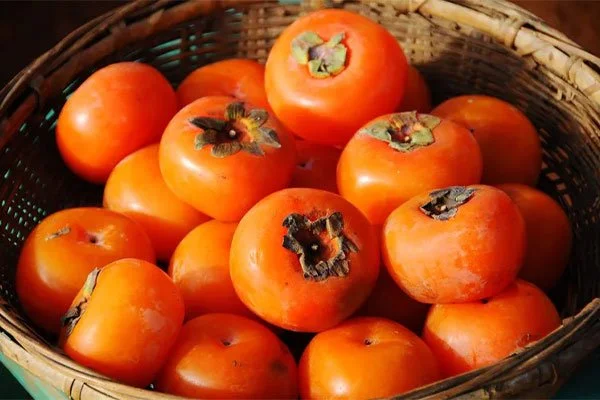 بهترین زمان مصرف خرمالو