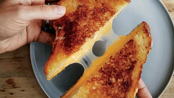 فرایند تهیه Processed Cheese