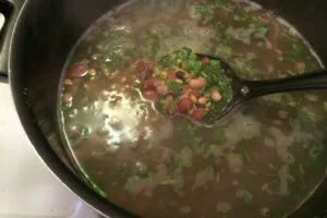 اضافه کردن رشته آش شمالی