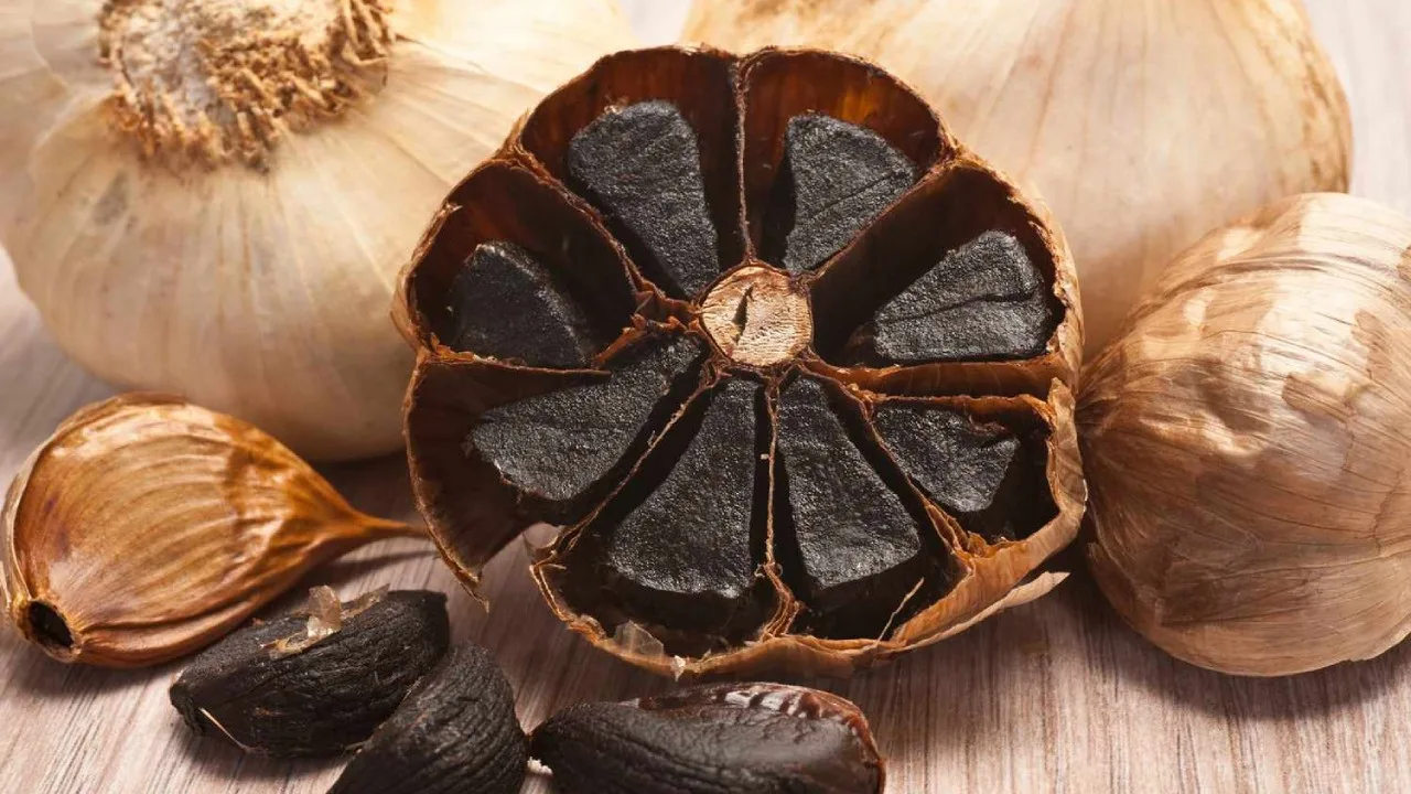 سیر سیاه چیست