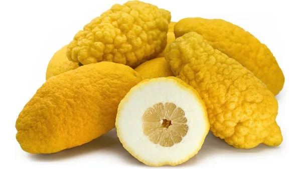 انواع بالنگ‌ها و مرکبات