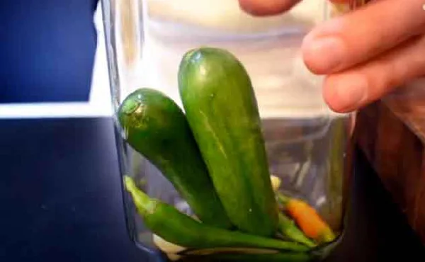 قرار دادن مواد خیارشور در شیشه