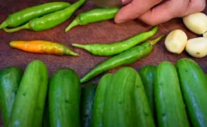 خشک کردن خیار و سیر برای خیارشور