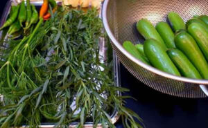 شستن خیار و سبزیجات خیارشور با سرکه