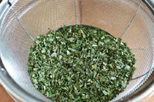 خیساندن سبزی خشک در آب برای تهیه کوکو سبزی