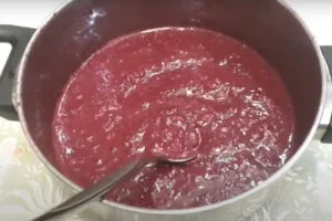 مایه آلبالو برای تهیه مربای آلبالو با هسته