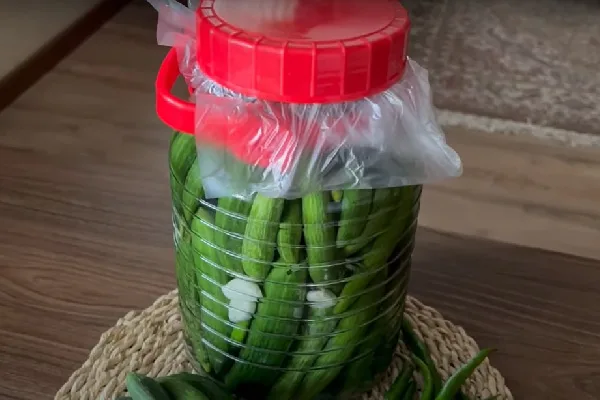 تهیه خیارشور دبه ای