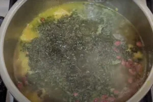 اضافه کردن سبزی به قورمه سبزی با سبزی خشک