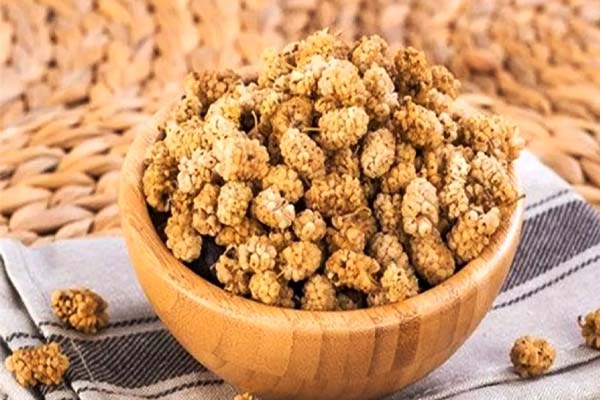 خشک کردن توت در هواپز